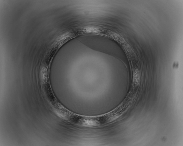 X0000097910360200804041506