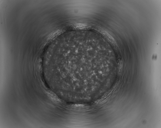 X0000097910361200804041506