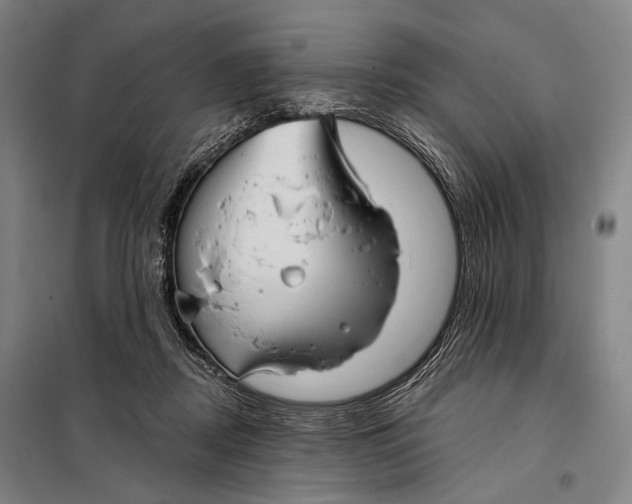 X0000097910362200804041506