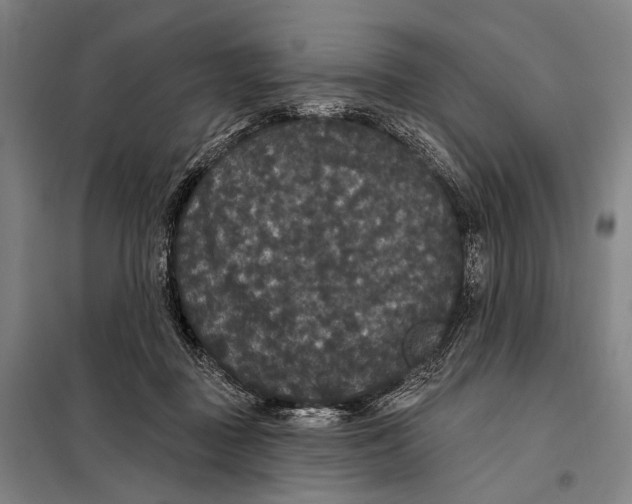 X0000097910363200804041506