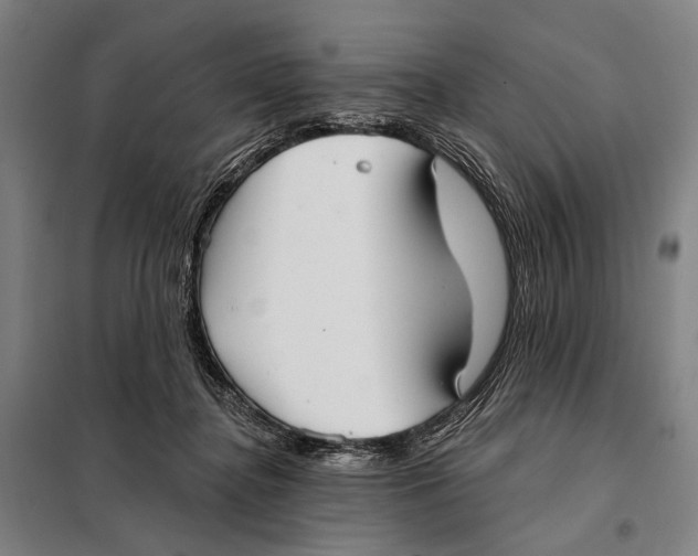 X0000097910364200804041506