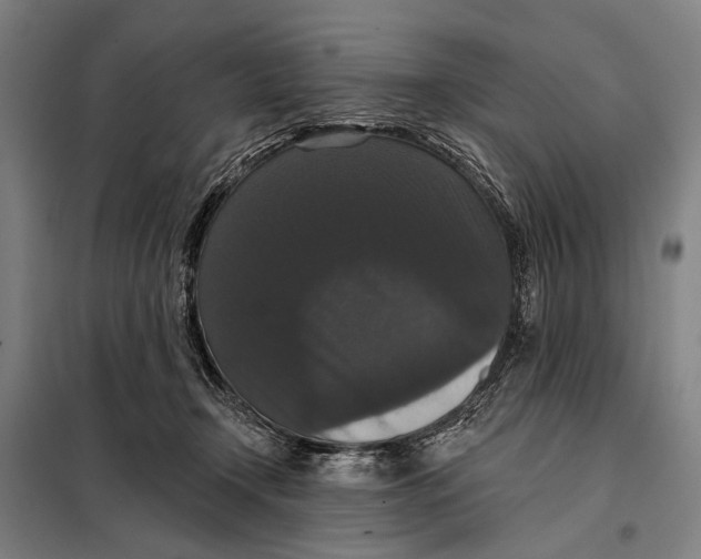 X0000097910366200804041506