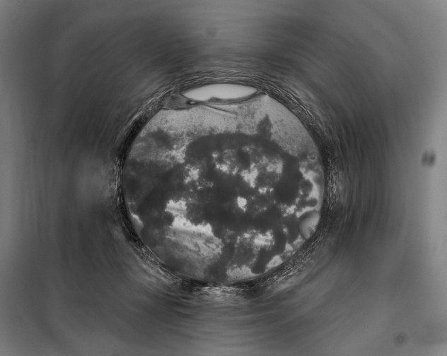 X0000097910367200804041506