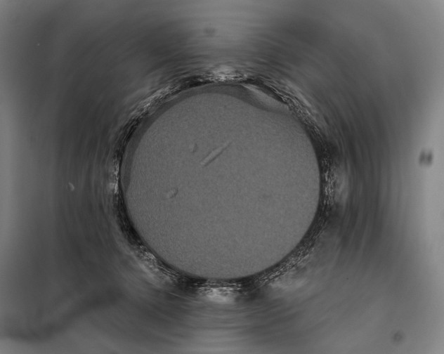 X0000097910368200804041506