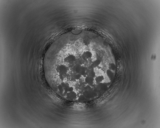 X0000097910369200804041506