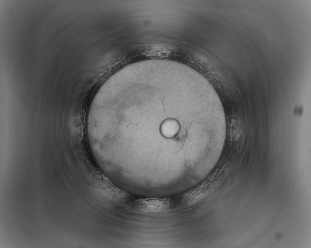 X0000097910370200804041506