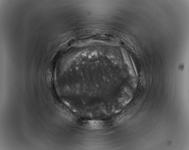 X0000097910371200804041506