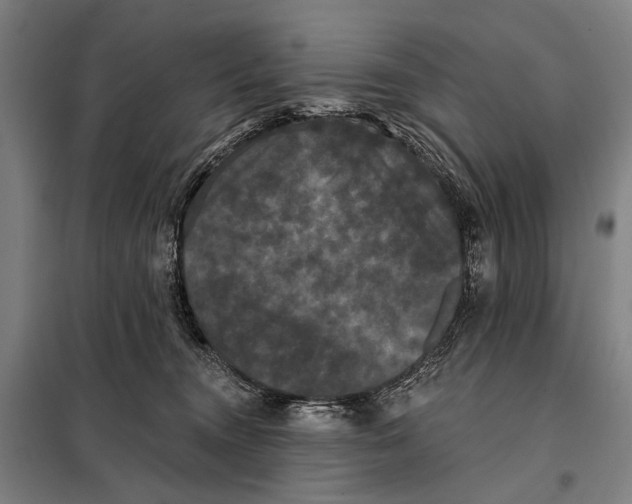 X0000097910372200804041506