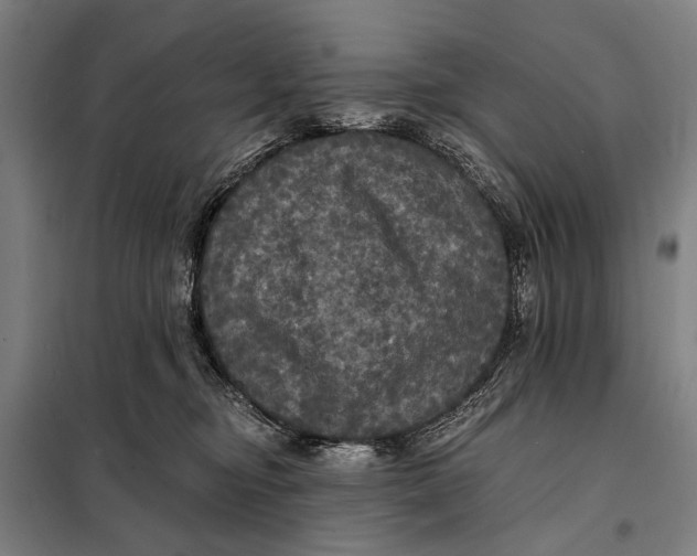 X0000097910374200804041506