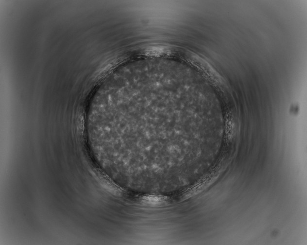 X0000097910375200804041506