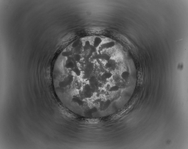 X0000097910377200804041506