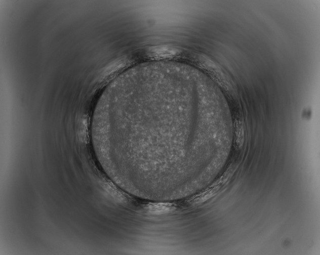 X0000097910378200804041506