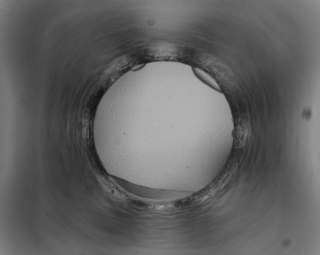 X0000097910379200804041506