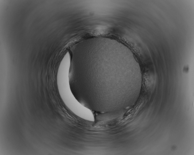 X0000097910380200804041506