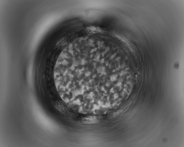 X0000097910381200804041506