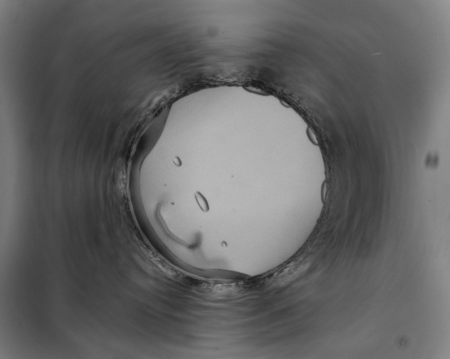 X0000097910384200804041507