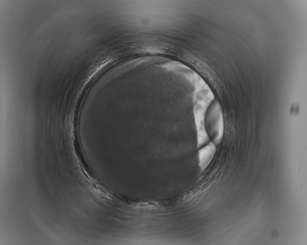 X0000097910386200804041506