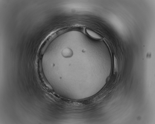 X0000097910387200804041506