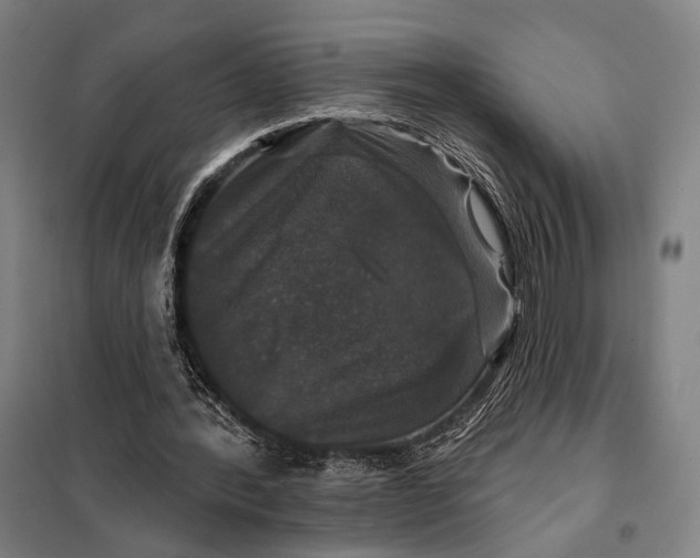 X0000097910388200804041506