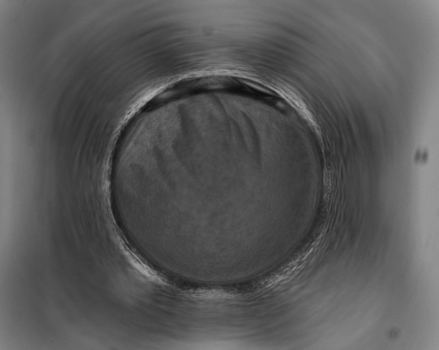 X0000097910389200804041506