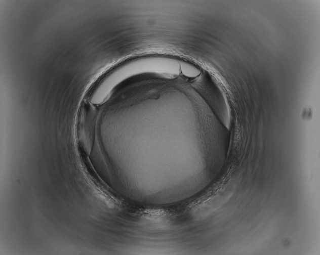 X0000097910391200804041506