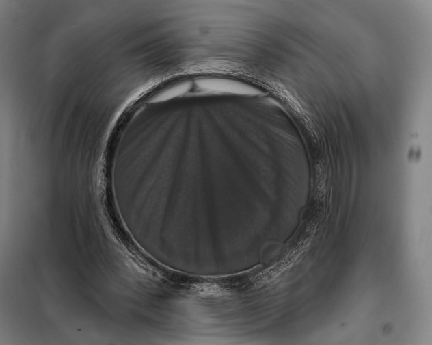 X0000097910392200804041506