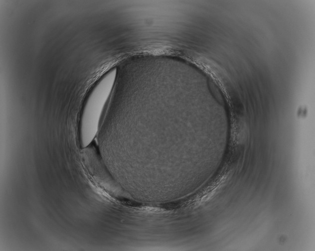 X0000097910393200804041506