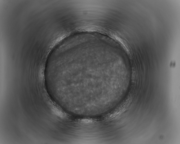 X0000097910394200804041506