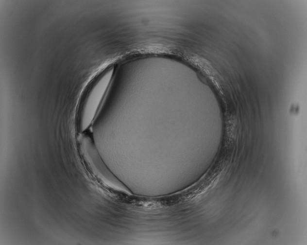 X0000097910395200804041506