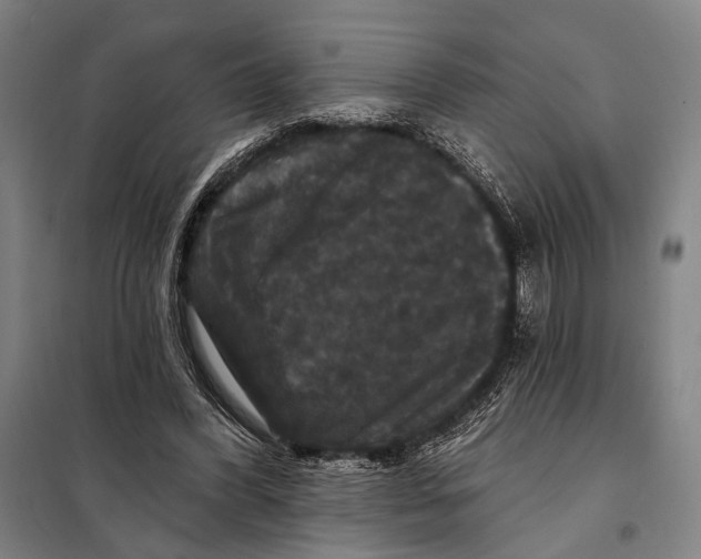 X0000097910396200804041506