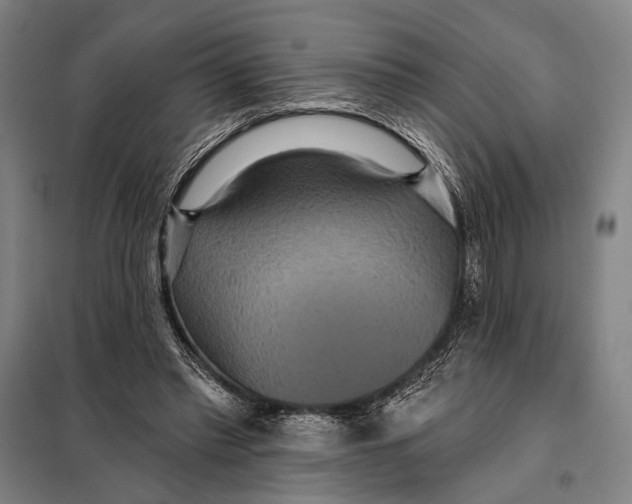 X0000097910397200804041506