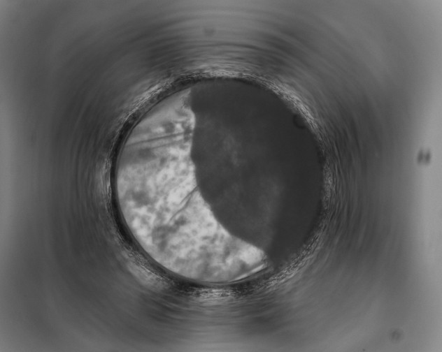 X0000097910398200804041506