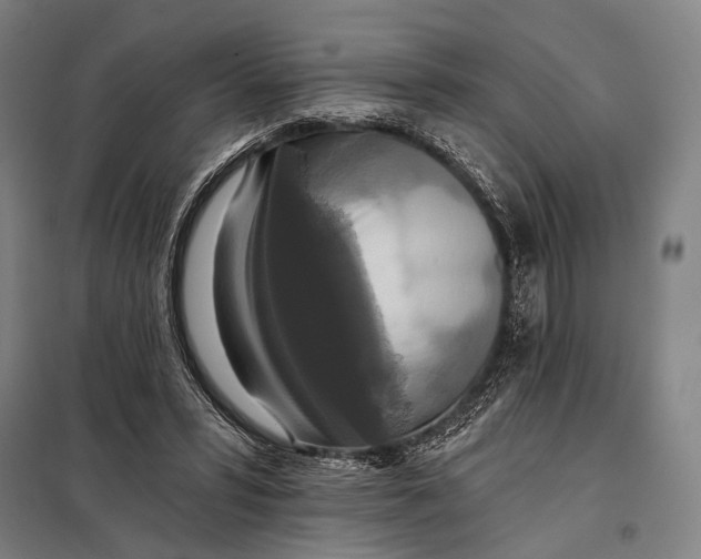 X0000097910399200804041506