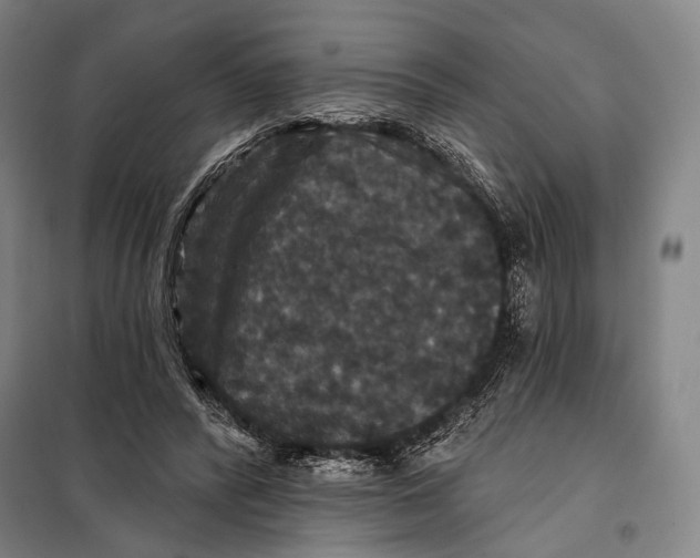 X0000097910400200804041506