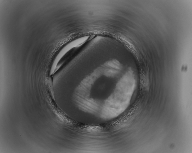 X0000097910401200804041506