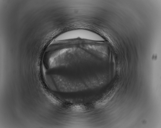 X0000097910402200804041506