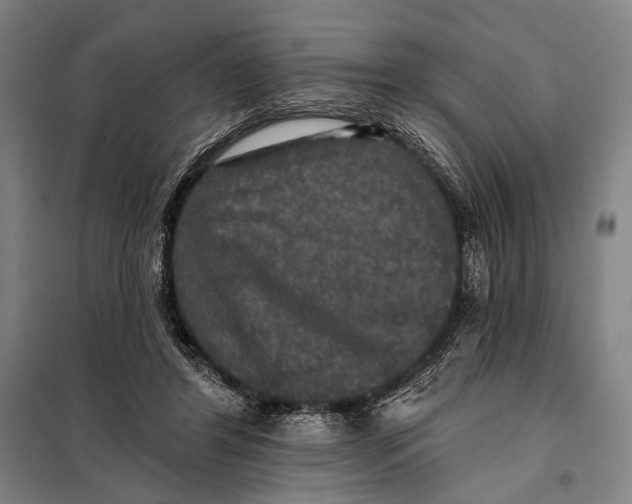 X0000097910404200804041506