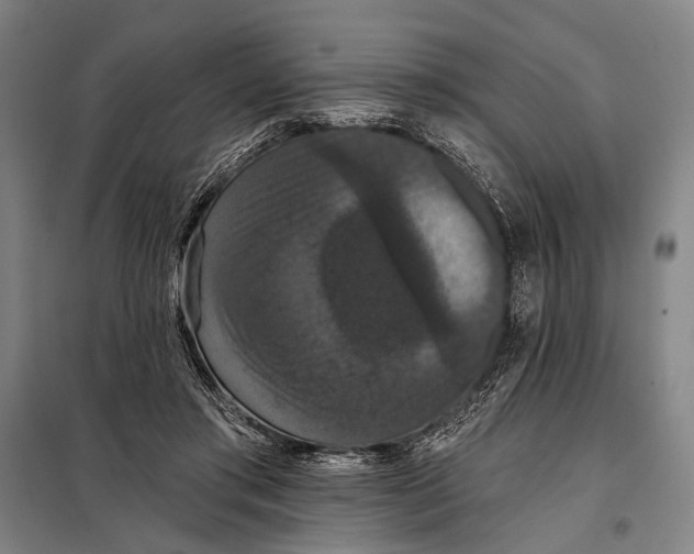 X0000097910405200804041506