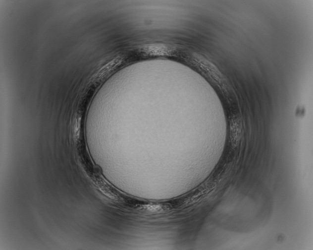 X0000097910406200804041506