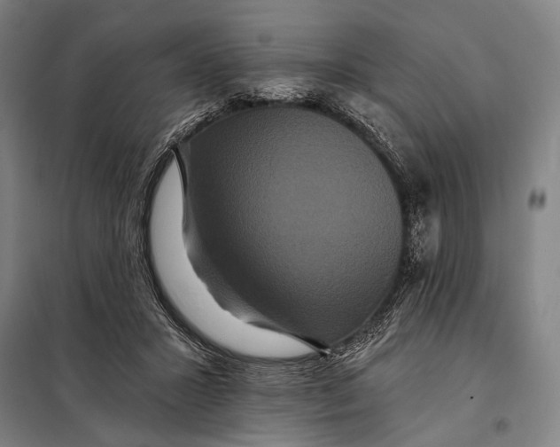 X0000097910407200804041506