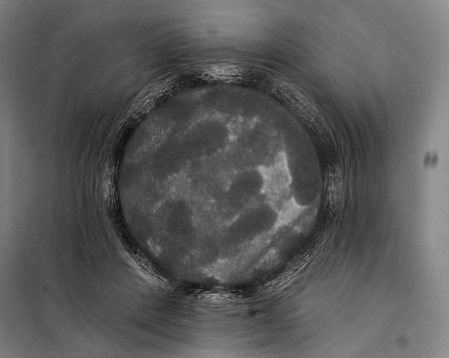 X0000097910408200804041506