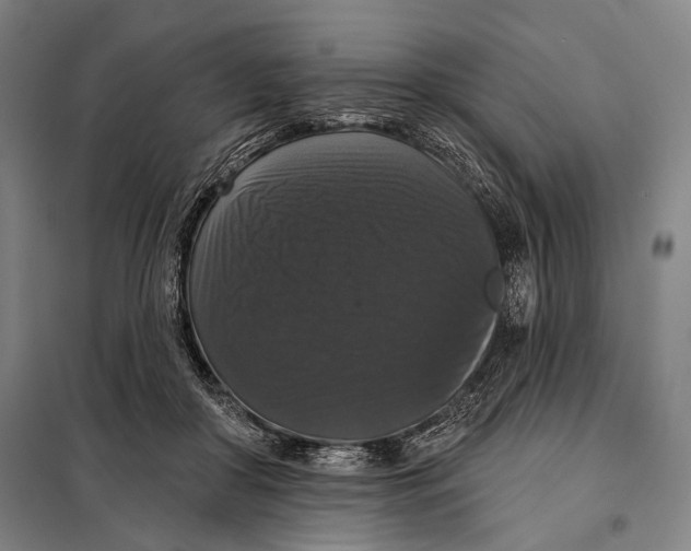 X0000097910410200804041506