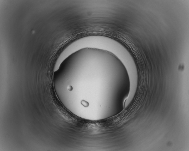 X0000097910411200804041506