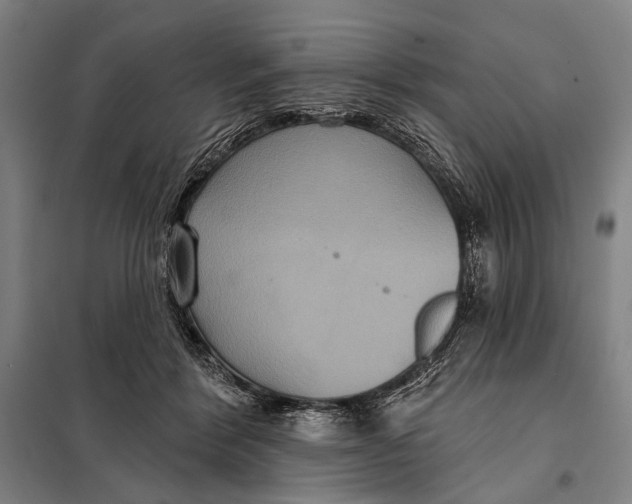 X0000097910412200804041505