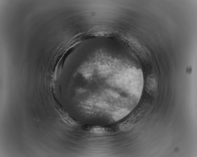 X0000097910413200804041505