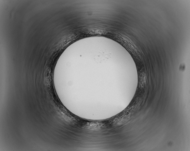 X0000097910414200804041505