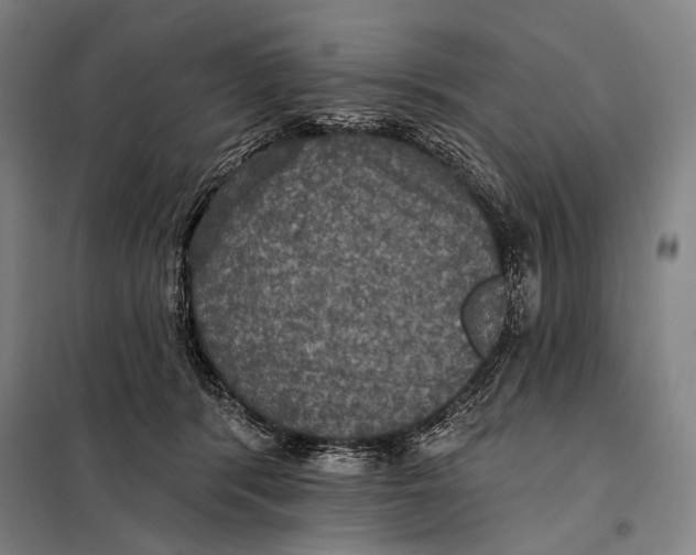 X0000097910416200804041505