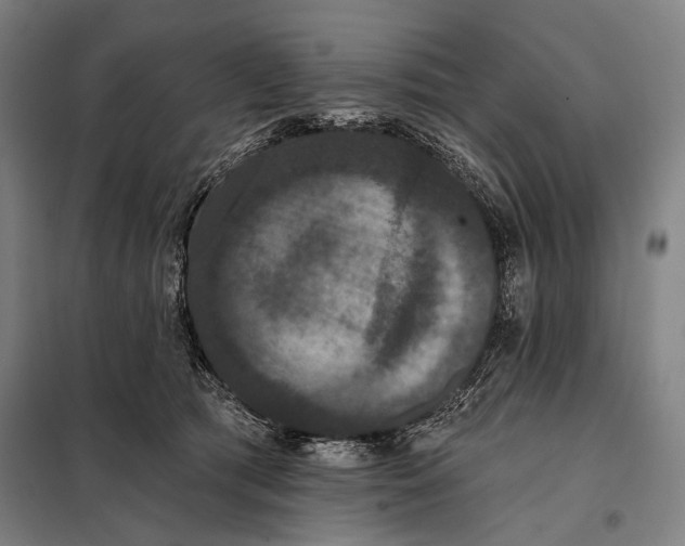 X0000097910417200804041505