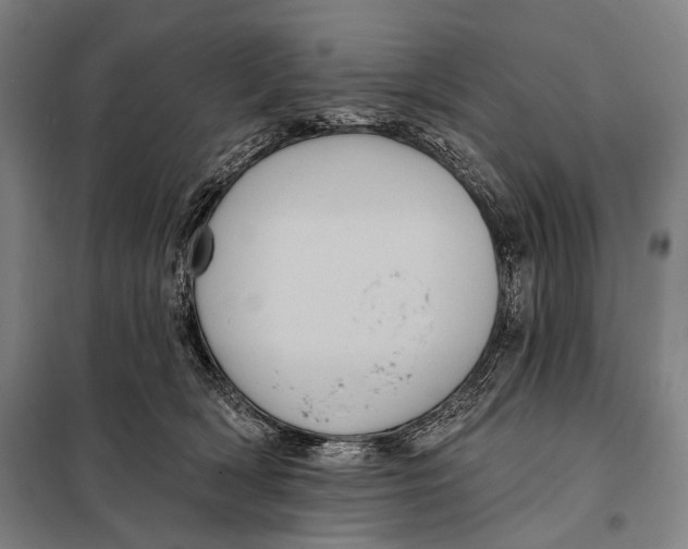 X0000097910418200804041505