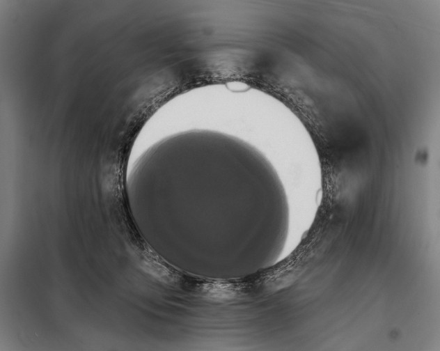 X0000097910419200804041505